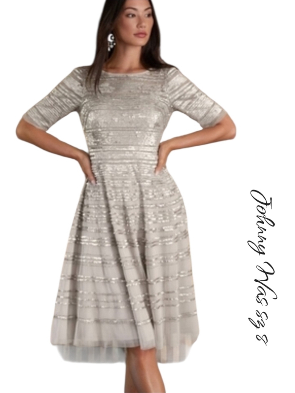 NWT Johnny Was Cocktail Beaded Mesh Midi Dress sz 8